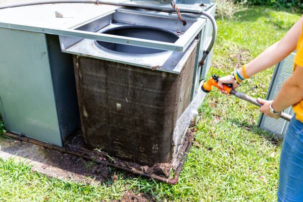 Best Air Duct Mold Removal  in Lake Arrowhead, CA